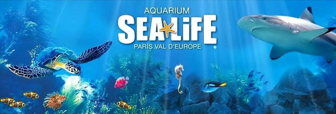 Appartement Spacieux Disneyland - La Vallee Village - 6 Personnes - 60M2 Saint-Germain-sur-Morin Екстериор снимка
